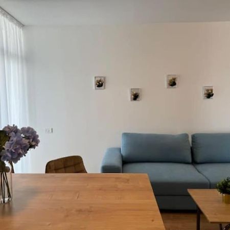 טימישוארה Joy City Stay Vivalia 7B-25 מראה חיצוני תמונה