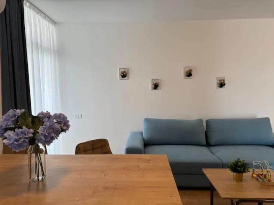 טימישוארה Joy City Stay Vivalia 7B-25 מראה חיצוני תמונה