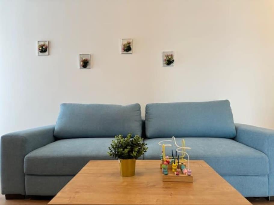 טימישוארה Joy City Stay Vivalia 7B-25 מראה חיצוני תמונה