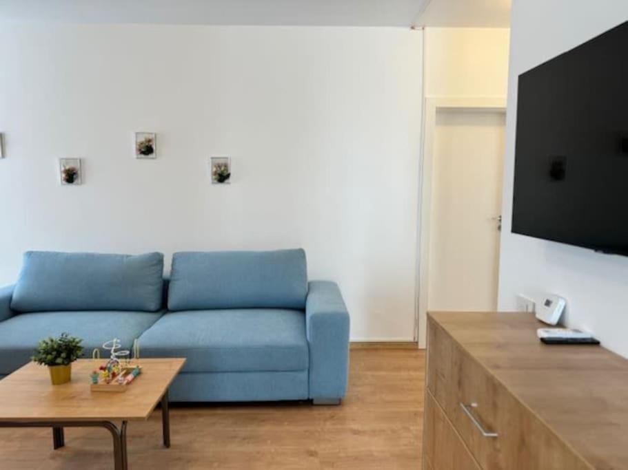 טימישוארה Joy City Stay Vivalia 7B-25 מראה חיצוני תמונה